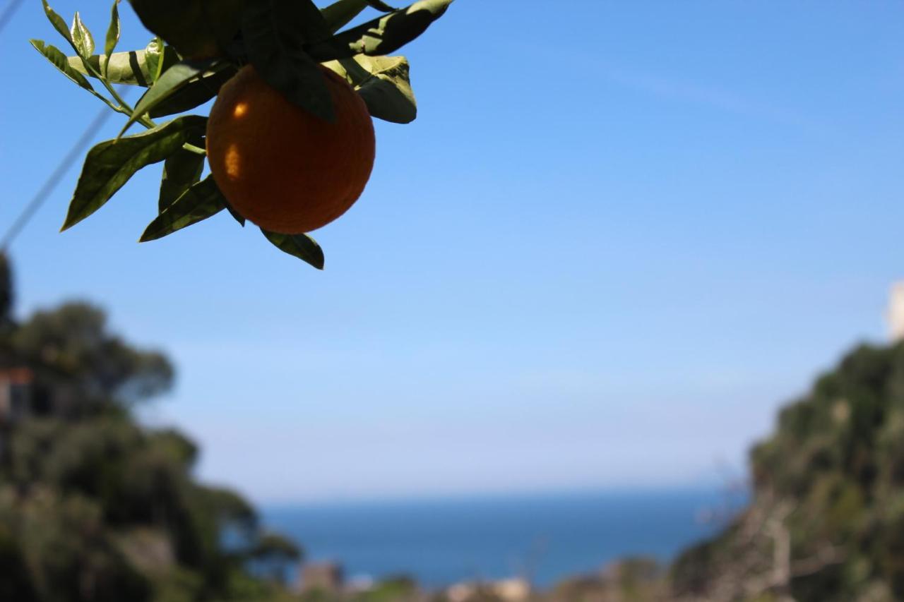 La Casetta Di Asia Vico Equense Extérieur photo