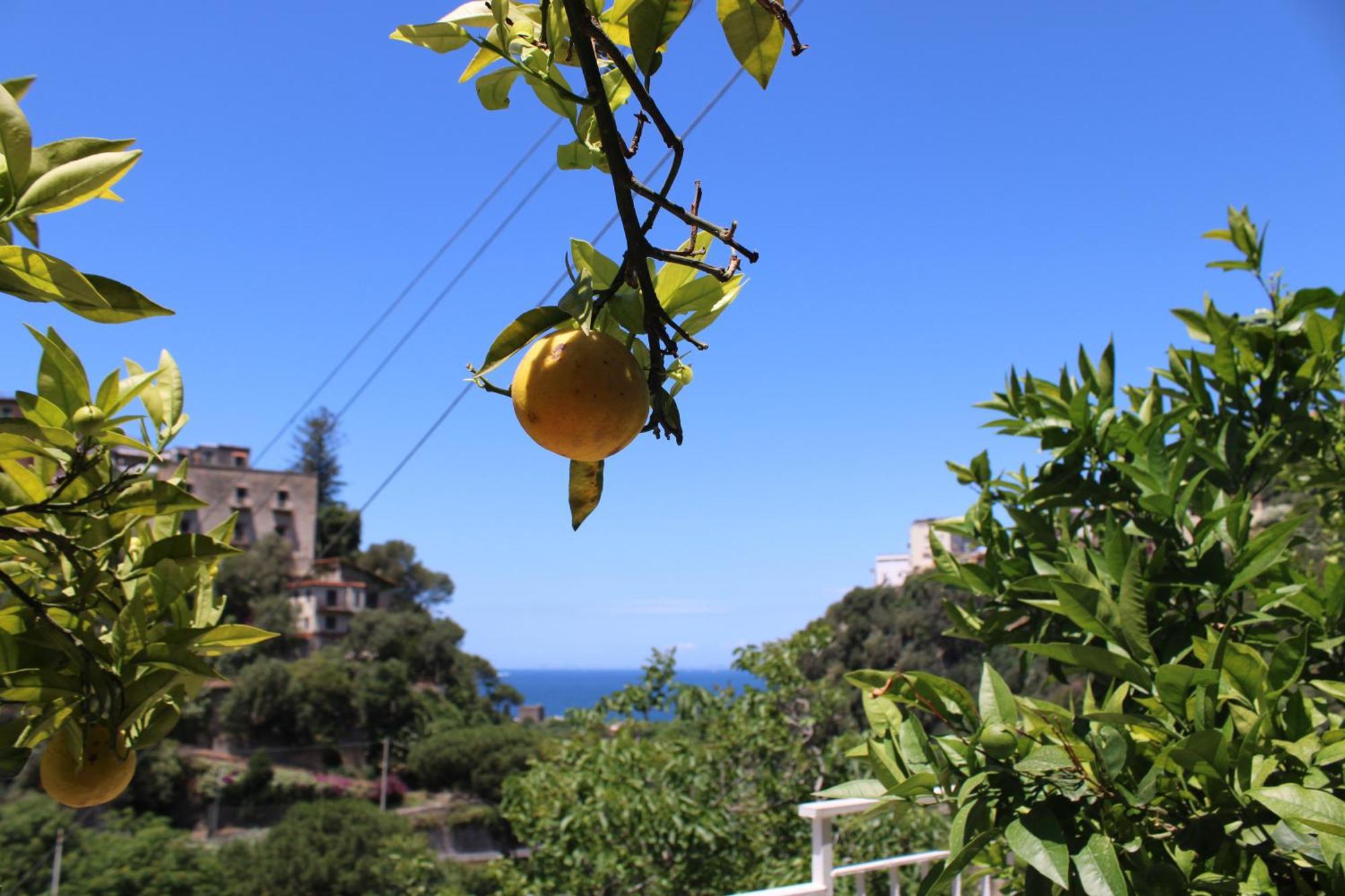 La Casetta Di Asia Vico Equense Extérieur photo